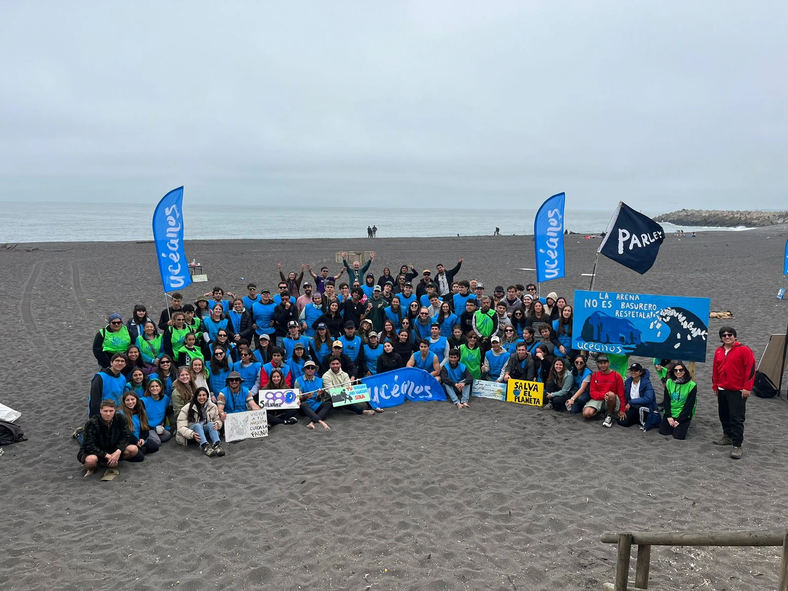 Limpieza Constitución